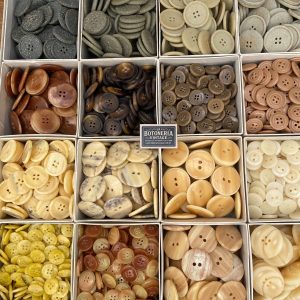 Set Paulina 400 unidades