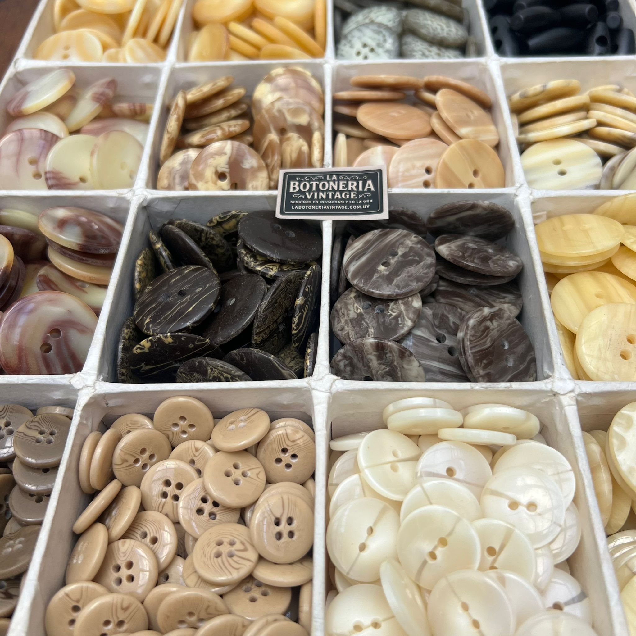 Set Dinora 400 unidades - Imagen 2