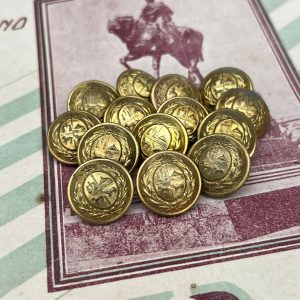 14 escudos de la R.O.U