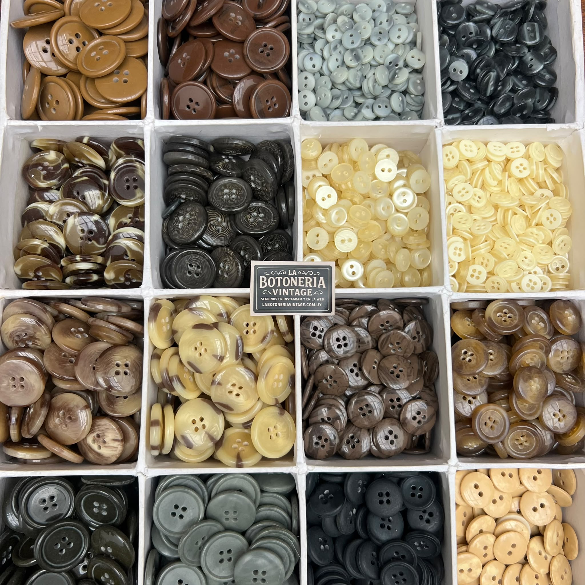 Set Campero 400 unidades! - Imagen 19