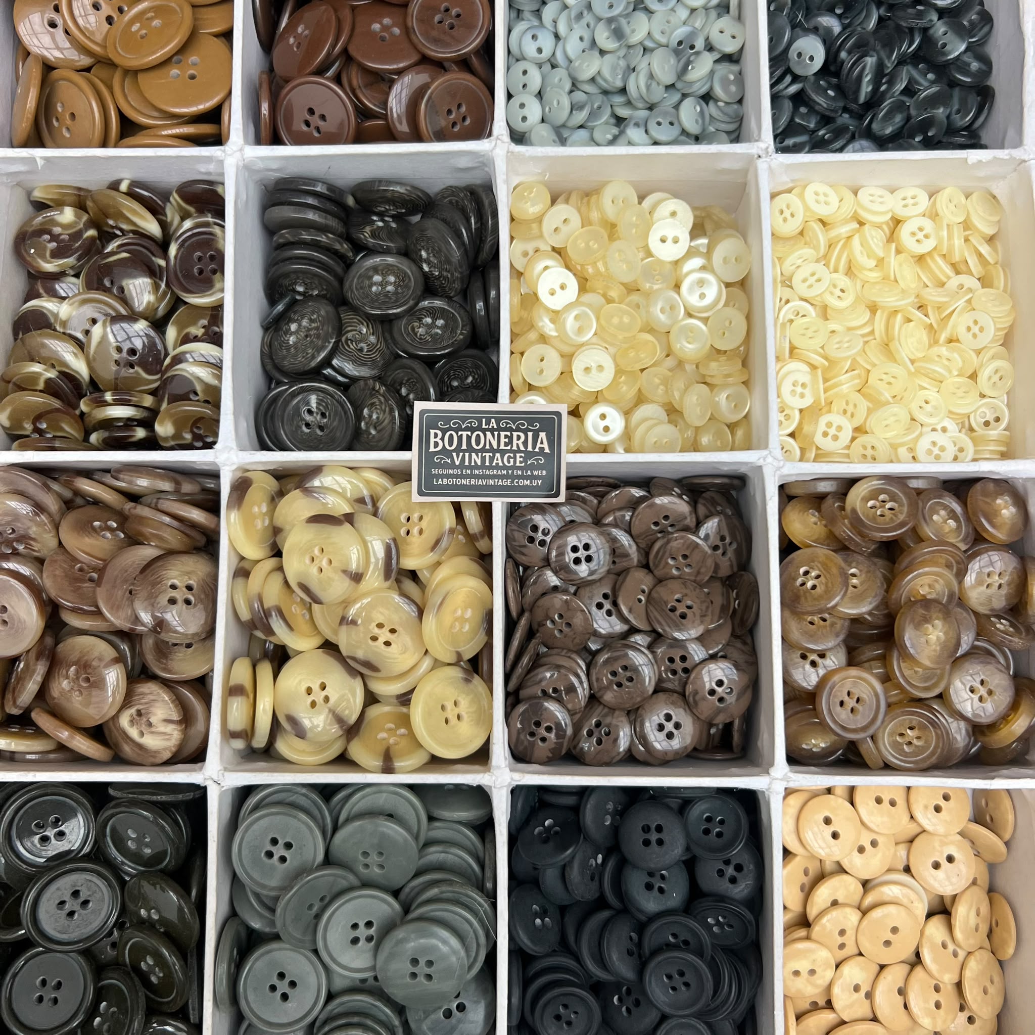 Set Campero 400 unidades! - Imagen 17