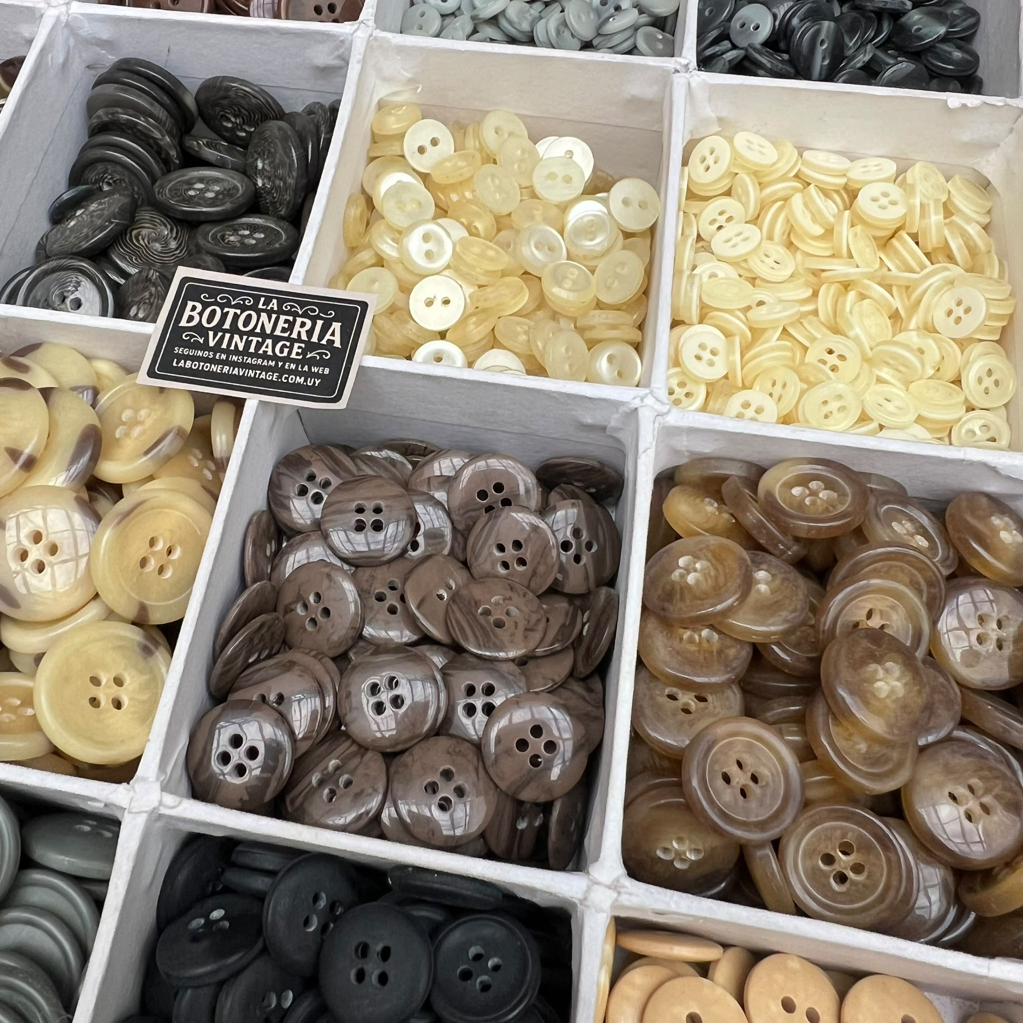 Set Campero 400 unidades! - Imagen 6