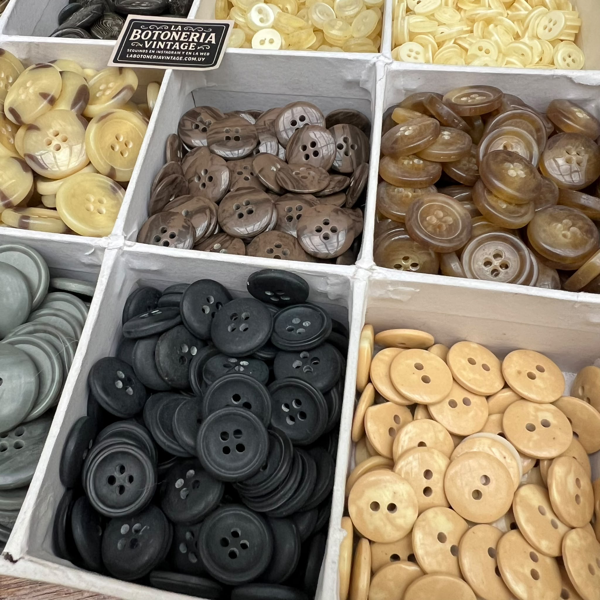 Set Campero 400 unidades! - Imagen 2